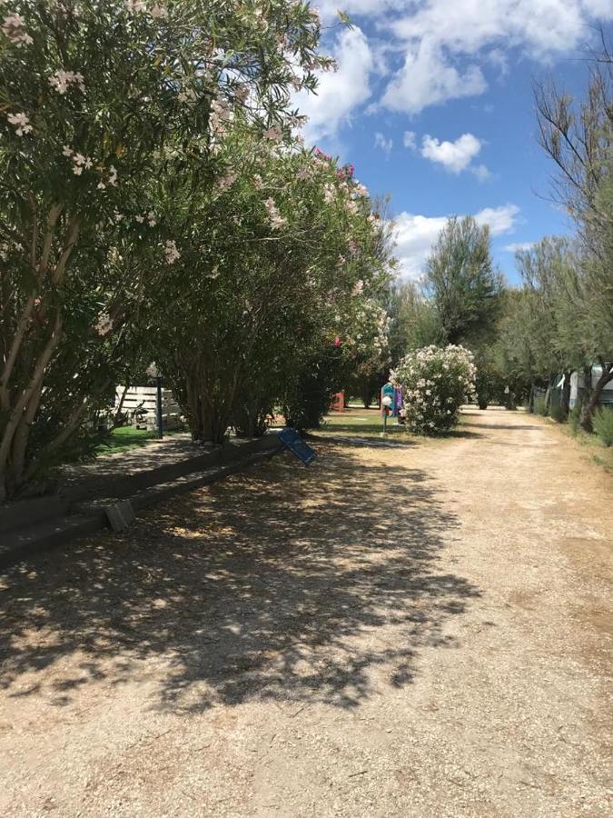 Maronda Camping Marina Di Montenero Exterior photo