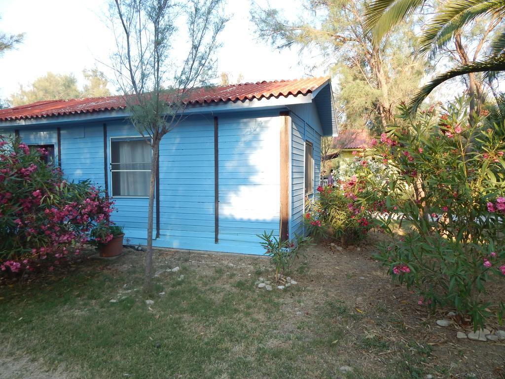 Maronda Camping Marina Di Montenero Exterior photo